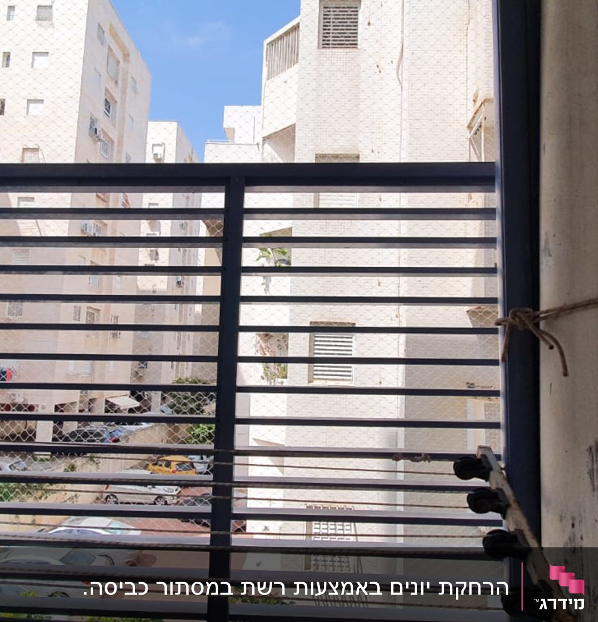 סורג חלון עם חוטים למניעת כניסת יונים